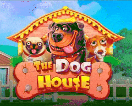 play The Dog House in cleobetra casino